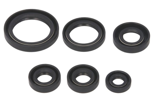 Set garnituri pentru motor WINDEROSA 822241 