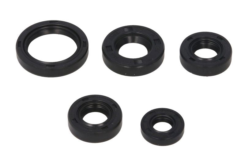 Set garnituri pentru motor WINDEROSA 822242 