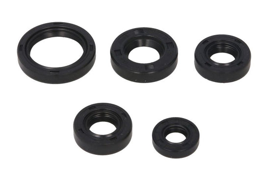 Set garnituri pentru motor WINDEROSA 822242 