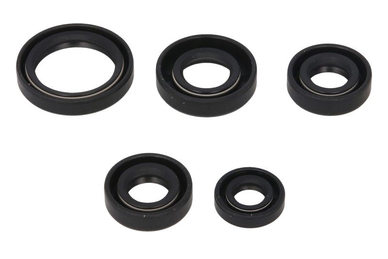 Set garnituri pentru motor WINDEROSA 822242 
