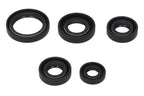 Set garnituri pentru motor WINDEROSA 822242 