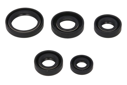 Set garnituri pentru motor WINDEROSA 822242 