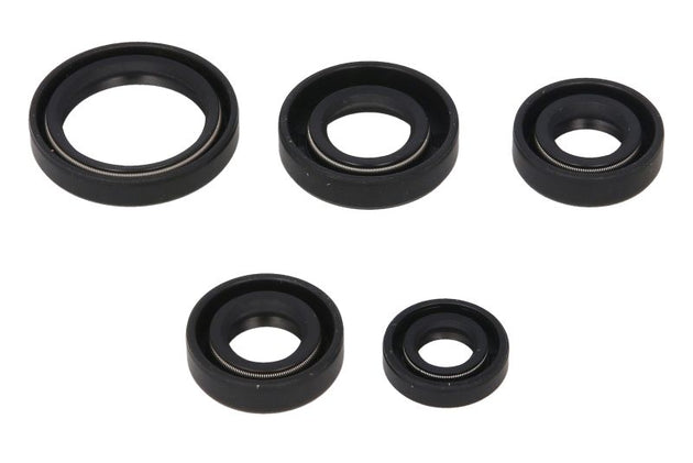 Set garnituri pentru motor WINDEROSA 822242 