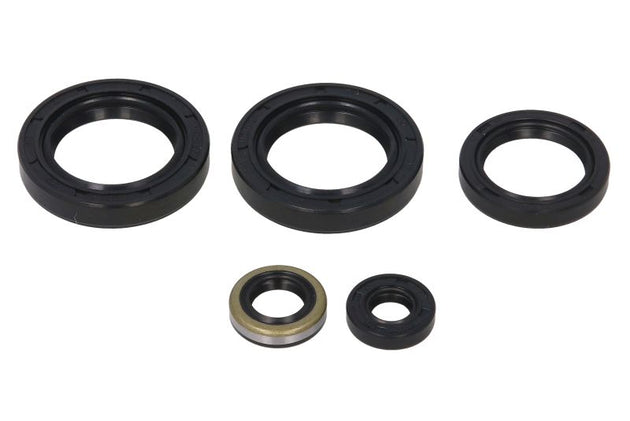 Set garnituri pentru motor WINDEROSA 822244 