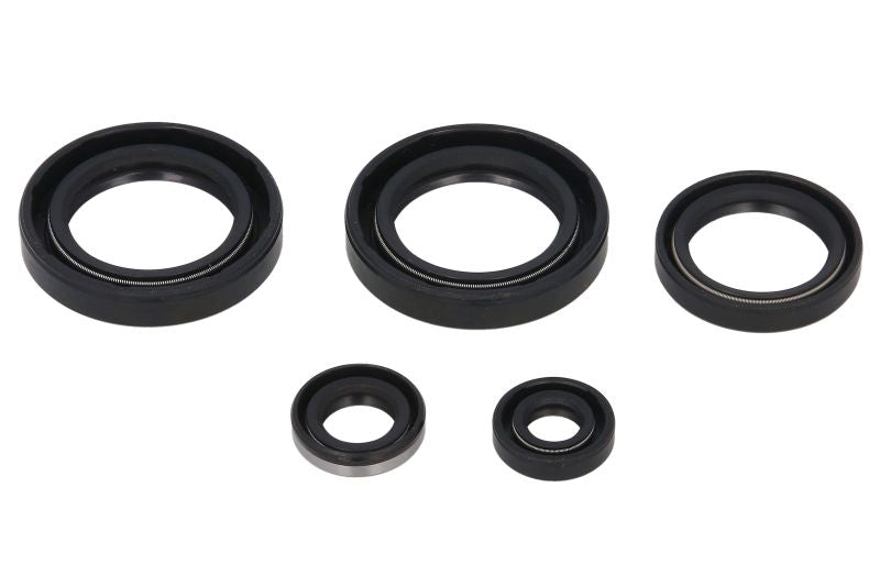 Set garnituri pentru motor WINDEROSA 822244 