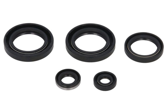 Set garnituri pentru motor WINDEROSA 822244 