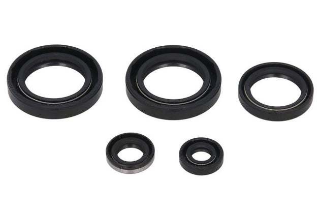 Set garnituri pentru motor WINDEROSA 822244 