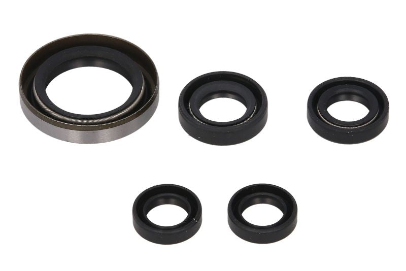 Set garnituri pentru motor WINDEROSA 822249 