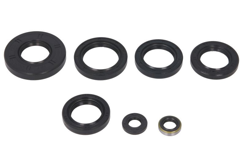 Set garnituri pentru motor WINDEROSA 822251 