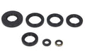Set garnituri pentru motor WINDEROSA 822251 