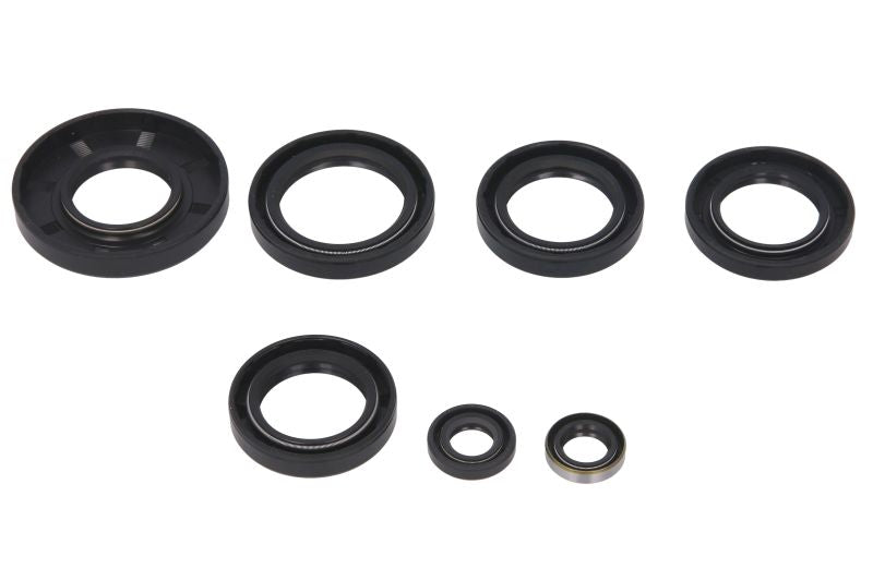 Set garnituri pentru motor WINDEROSA 822251 