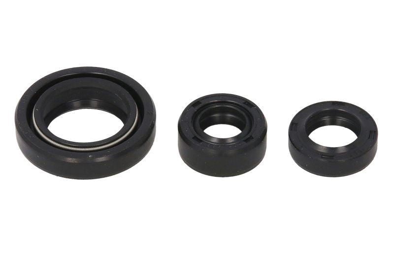 Set garnituri pentru motor WINDEROSA 822254 