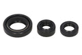 Set garnituri pentru motor WINDEROSA 822254 