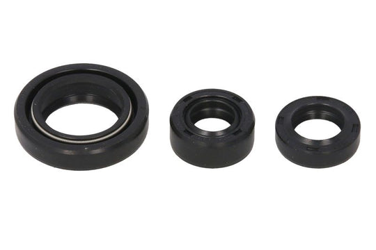 Set garnituri pentru motor WINDEROSA 822254 