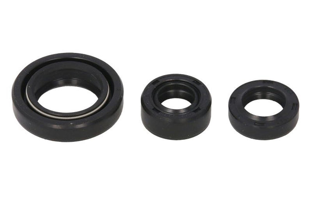 Set garnituri pentru motor WINDEROSA 822254