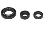 Set garnituri pentru motor WINDEROSA 822254 