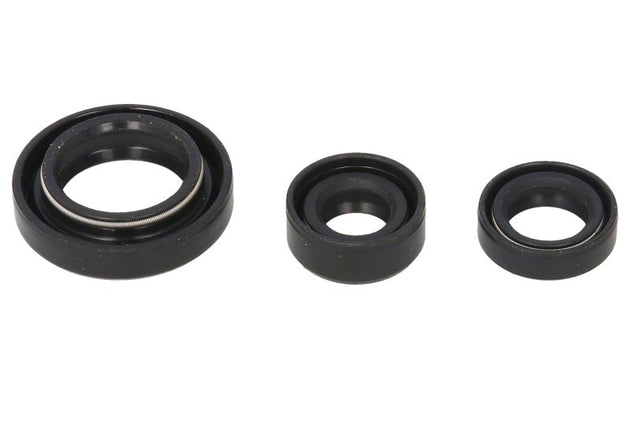 Set garnituri pentru motor WINDEROSA 822254 