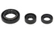 Set garnituri pentru motor WINDEROSA 822254 
