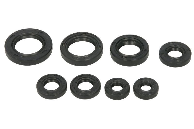 Set garnituri pentru motor WINDEROSA 822255 