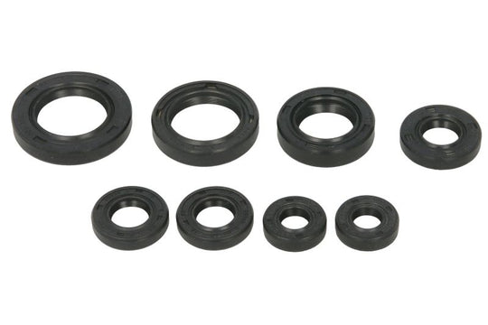 Set garnituri pentru motor WINDEROSA 822255 