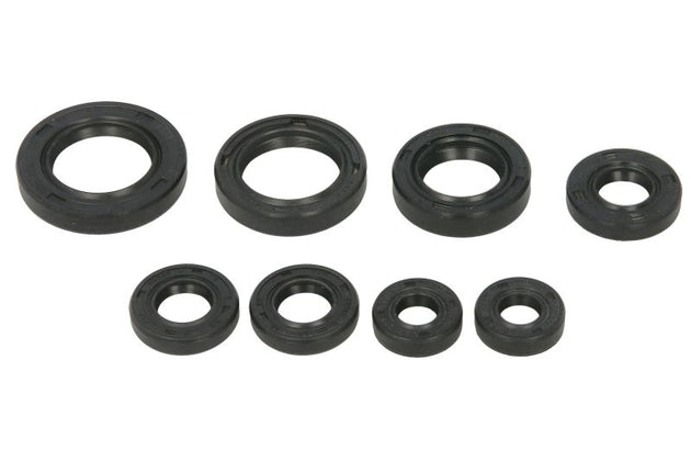 Set garnituri pentru motor WINDEROSA 822255 