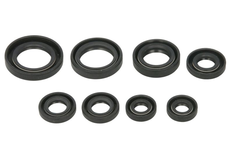 Set garnituri pentru motor WINDEROSA 822255 