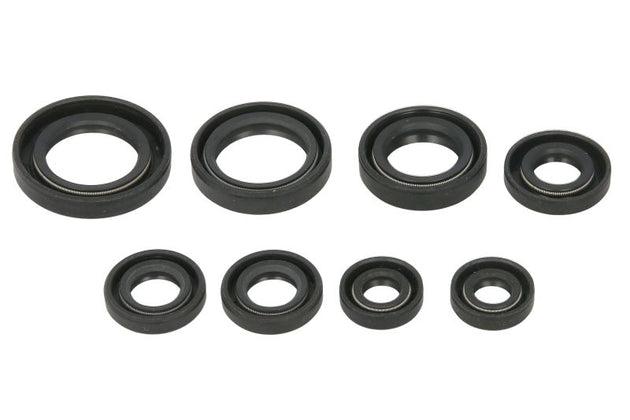 Set garnituri pentru motor WINDEROSA 822255 