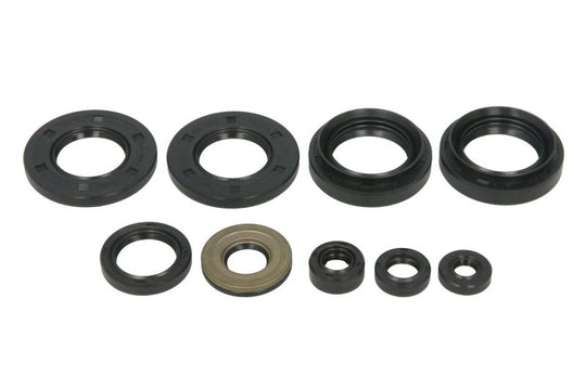 Set garnituri pentru motor WINDEROSA 822258