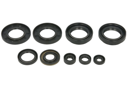 Set garnituri pentru motor WINDEROSA 822258 