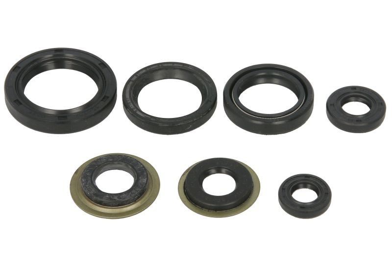 Set garnituri pentru motor WINDEROSA 822260 