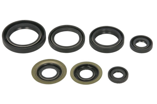 Set garnituri pentru motor WINDEROSA 822260