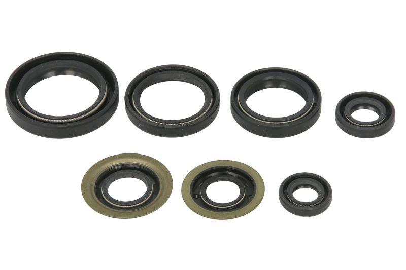 Set garnituri pentru motor WINDEROSA 822260 