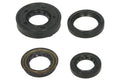 Set garnituri pentru motor WINDEROSA 822261 