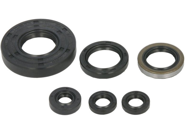 Set garnituri pentru motor WINDEROSA 822262