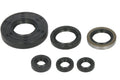 Set garnituri pentru motor WINDEROSA 822262 