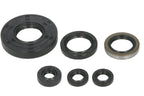Set garnituri pentru motor WINDEROSA 822262 