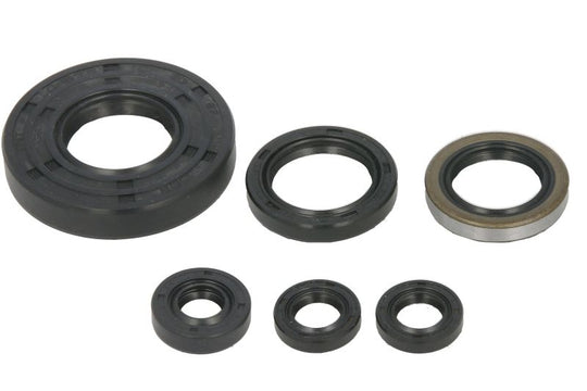 Set garnituri pentru motor WINDEROSA 822262 