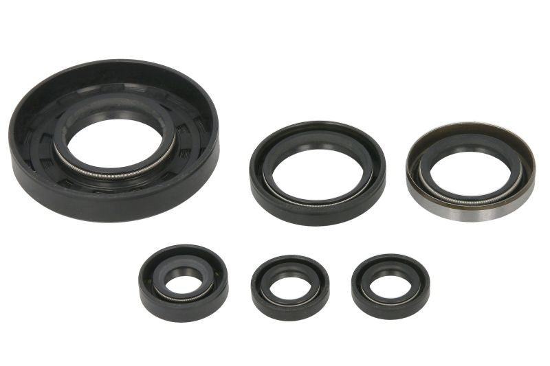 Set garnituri pentru motor WINDEROSA 822262 