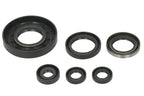 Set garnituri pentru motor WINDEROSA 822262 