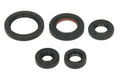 Set garnituri pentru motor WINDEROSA 822263 