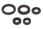 Set garnituri pentru motor WINDEROSA 822263 