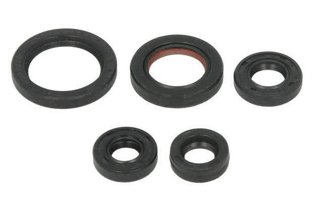 Set garnituri pentru motor WINDEROSA 822263 