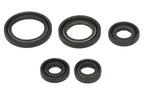 Set garnituri pentru motor WINDEROSA 822263 