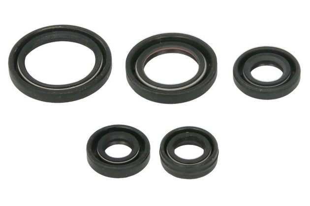 Set garnituri pentru motor WINDEROSA 822263 