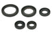 Set garnituri pentru motor WINDEROSA 822263 