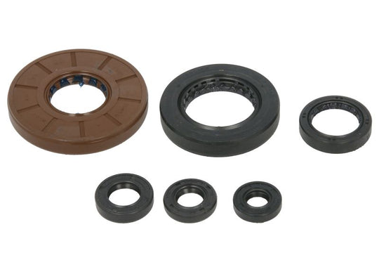 Set garnituri pentru motor WINDEROSA 822276