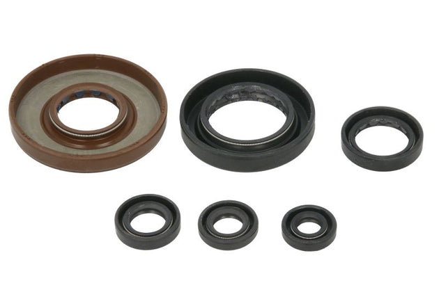 Set garnituri pentru motor WINDEROSA 822276 