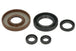 Set garnituri pentru motor WINDEROSA 822277 