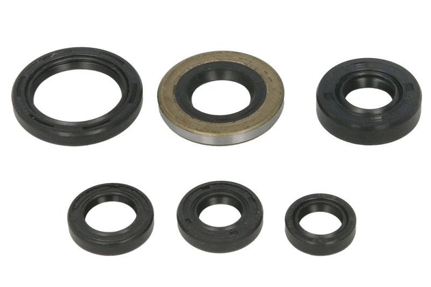 Set garnituri pentru motor WINDEROSA 822278