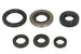 Set garnituri pentru motor WINDEROSA 822278 